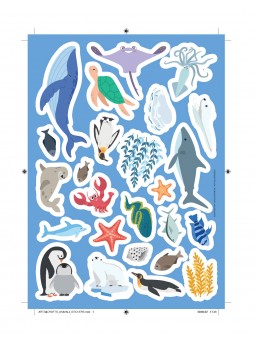 Premières activités | La Mer