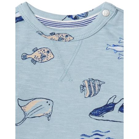 Tee shirt bébé Bay | Arona