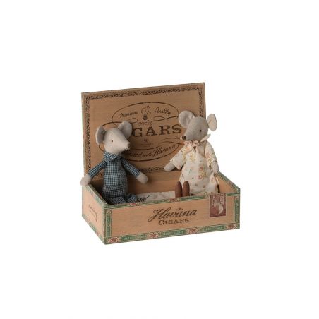 Grand-mère & Grand-père souris dans leur boîte à cigares