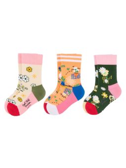 Box chaussettes | Wildflowers