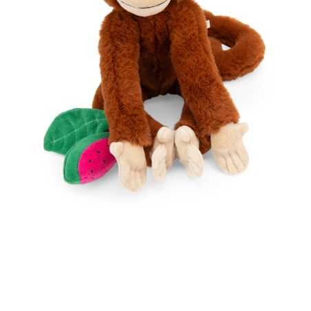 Singe activités à suspendre Mochica | Forêt Mawa