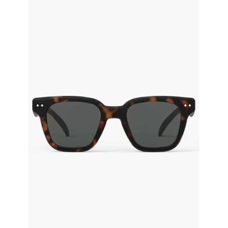 Lunettes de soleil adultes | Road Tortoise
