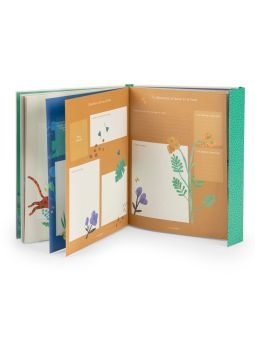 Livre de naissance | La forêt Mawa